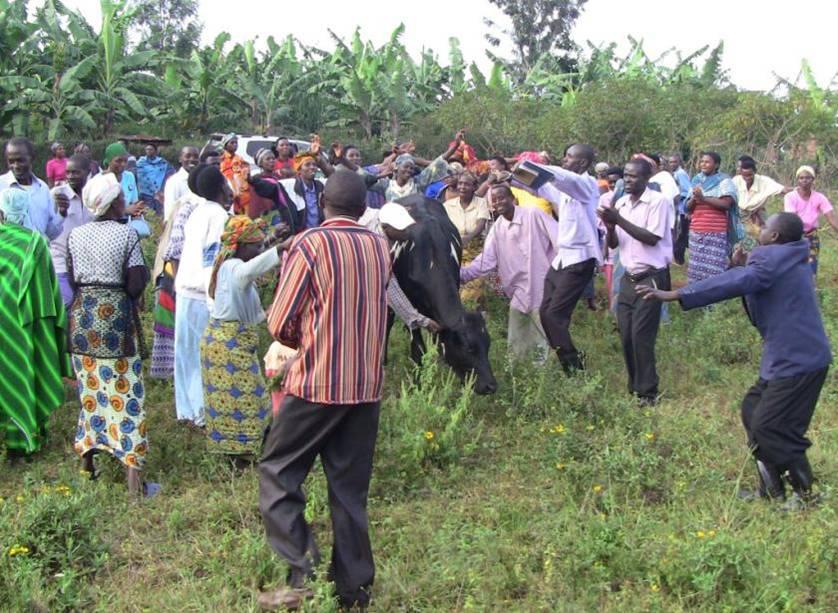 64531_503531869678719_198204092_n