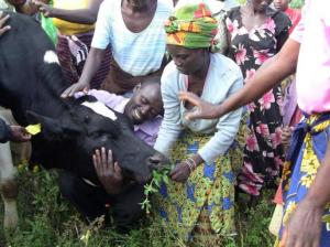 73343_506215996076973_1591853742_n