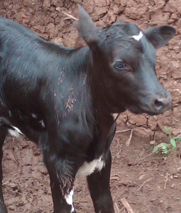 734667_506218012743438_1493698419_n