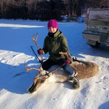 GetAttachment-5.aspx